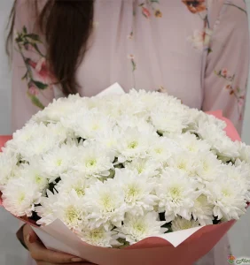 Букет белых хризантем, 25 шт (про-во Россия), 25 шт