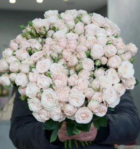 51 роза, 51 шт