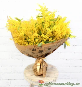 Букет из мимозы