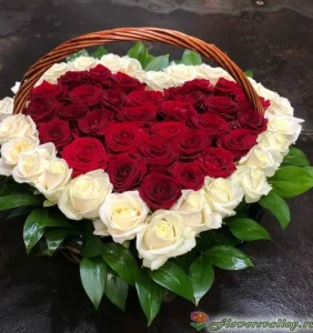 Сердце из 51 розы, 51 шт