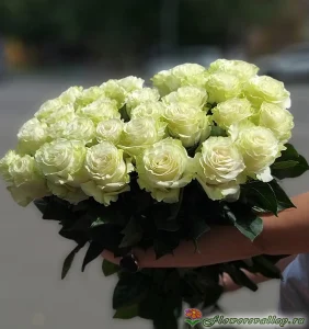 Букет из 35 белых роз, 35 шт, 50 см