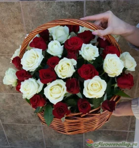 Корзинка из белых и красных роз. 25 шт