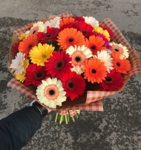 Букет из 35 гербер, 35 шт