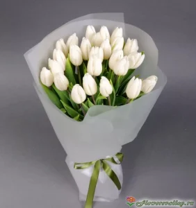 Букет из 25 тюльпанов, 25 шт