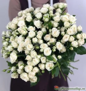 Букет из белых кустовых роз "Жозефина" (Josephine)