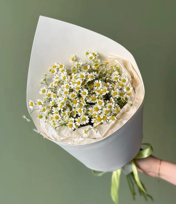 Букет из ромашек ( Tanacetum )