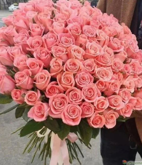 Букет из 101 розы Би Свит, (пр-во Эквадор, сорт "Be Sweet") фото 1