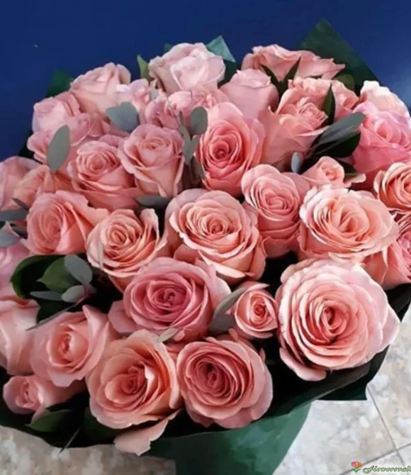 Букет из 35 роз Би Свит (сорт "Be Sweet", пр-во Эквадор)