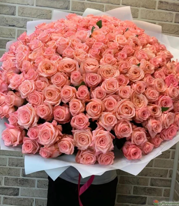 Букет из 35 роз Би Свит (сорт "Be Sweet", пр-во Эквадор)