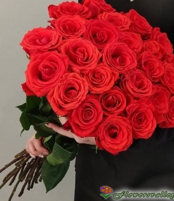 Букет из 25 роз Нина (сорт "Nina", пр-во Эквадор)