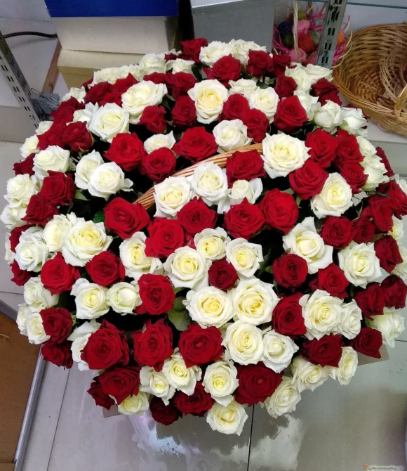 Корзина из белых и красных роз 151 шт.