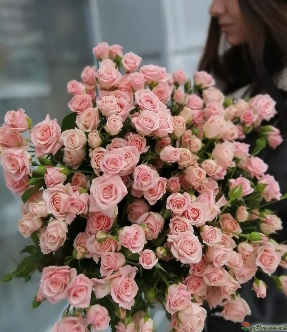 Букет из 35 розовых кустовых роз "Лидия" (Lidia)