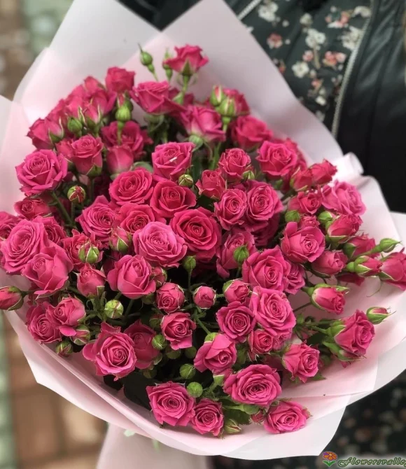 розова роза кустовая