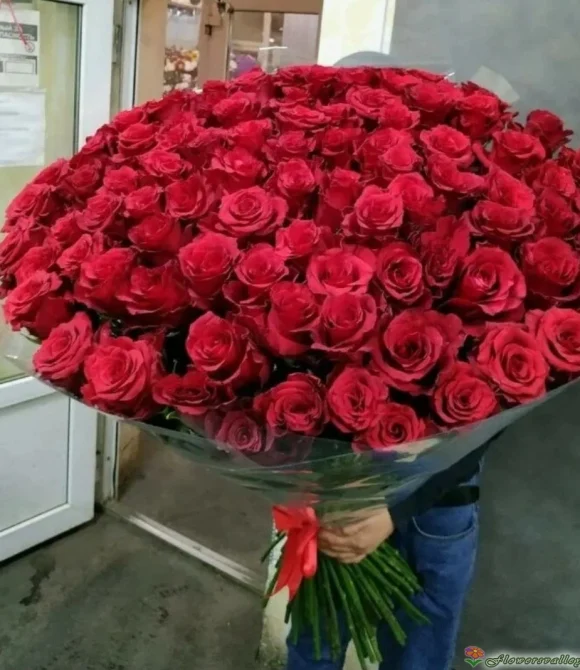 101 красная роза