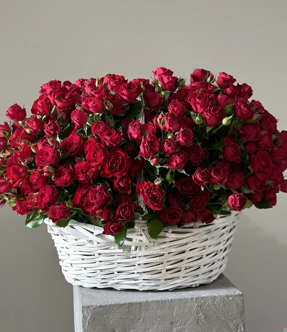 корзина из 51 кустовой розы