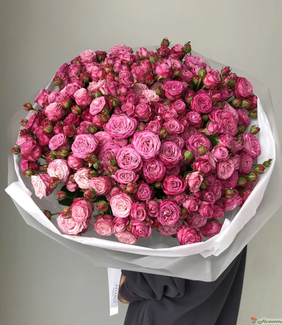 51 пионовидная роза