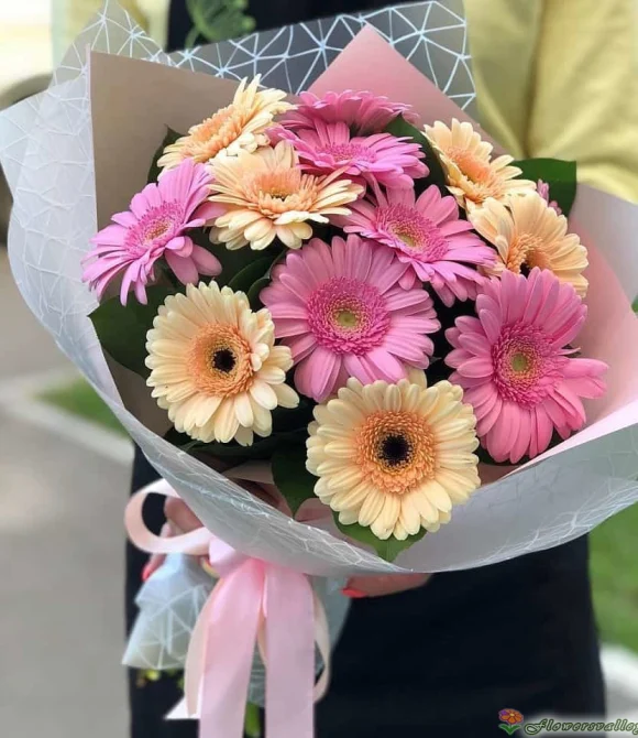 Букет из 15 гербер