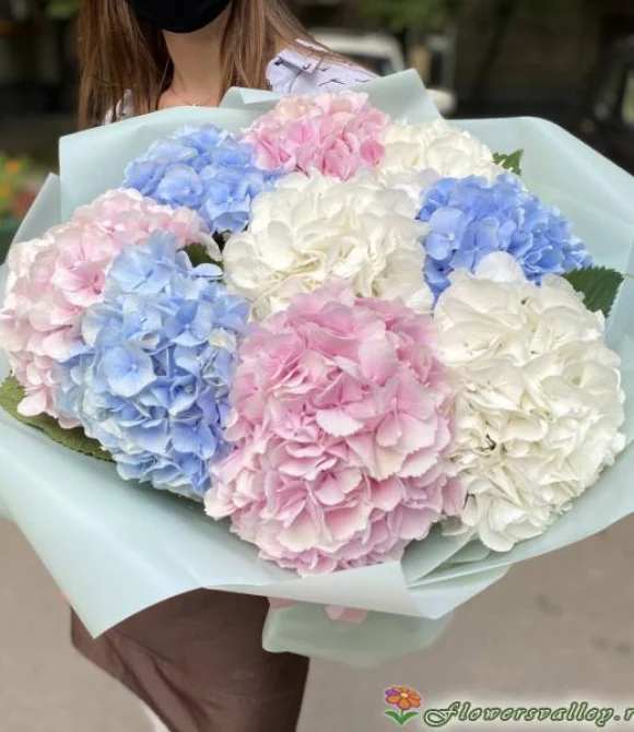 Букет из разноцветных гортензий, 9 шт.