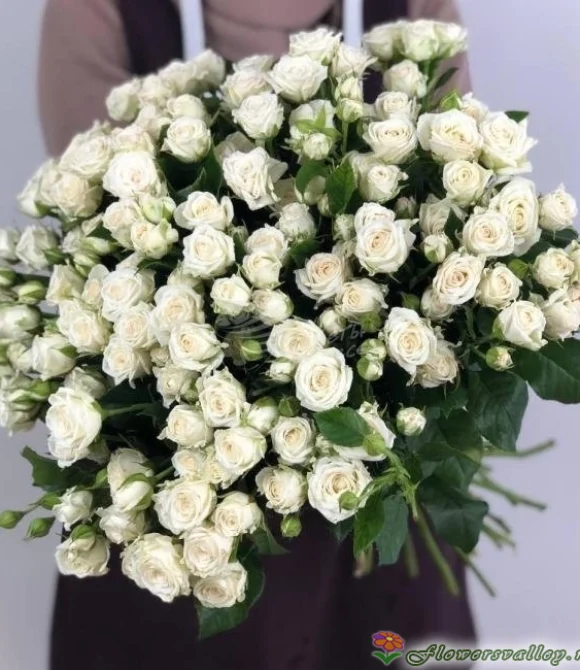 Букет из 25 кустовых роз
