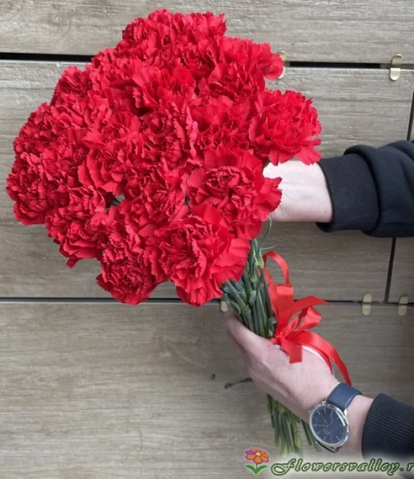 Букет из 25 красных гвоздик