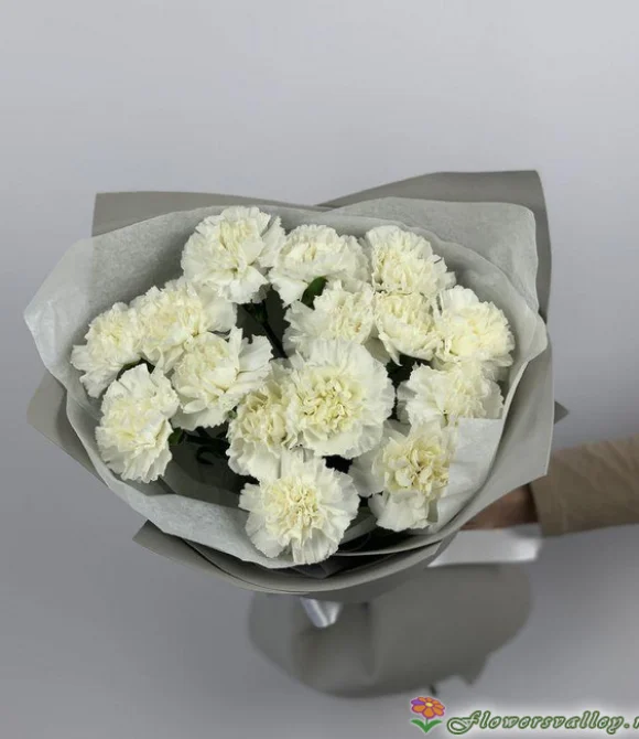 Букет из 15 белых гвоздик