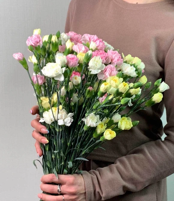 Букет разноцветных гвоздик, 15 шт