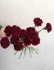букет из бардовых гвоздик 