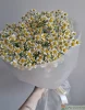 Букет из ромашек ( Tanacetum )