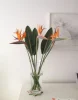 Букет из 7 стрелиций