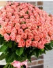Букет из 101 розы Би Свит, (пр-во Эквадор, сорт "Be Sweet") фото1