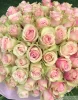Букет из 101 роз Фрутетто ( сорт "Frutteto", пр-во Эквадор) фото 4