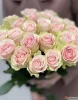 Букет из 25 роз Фрутетто ( сорт "Frutteto", пр-во Эквадор) 