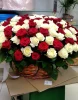 Корзина из белых и красных роз 151 шт.