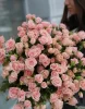 Букет из 35 розовых кустовых роз "Лидия" (Lidia)