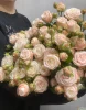 Роза кустовая "Яна"