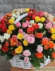 51 кустовая роза