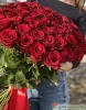 Букет из 51 красной розы, сорт "Explorer" (пр-во Эквадор) Главная Товары Букет из 51 красной розы, с