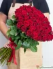 51 красная Роза