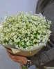 Букет 15 ромашек. (Вид Tanacetum или Matricaria). Фото 2.