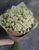 Букет 15 ромашек. (Вид Tanacetum или Matricaria). Фото 3.