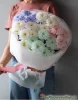 хризантема крашенная