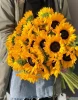 25 подсолнухов