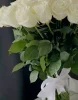 15 роз аваланш