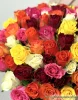 Букет разноцыетных роз Фортуна