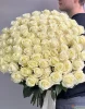 101 Роза белая Аваланш