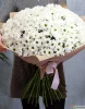Букет из 51 белых хризантем. Сорт Бакарди