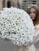 Букет из 51 белых хризантем. Сорт Бакарди