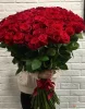 101 красная роза