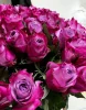 Букет  сиреневых роз, сорт "Deep Purple"