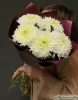 хризантема одноголовая 5 штук